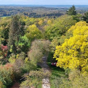 Einleitungsbild von Frankenhardt