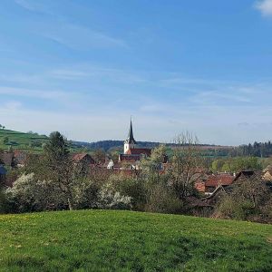 Einleitungsbild von Bühlerzell