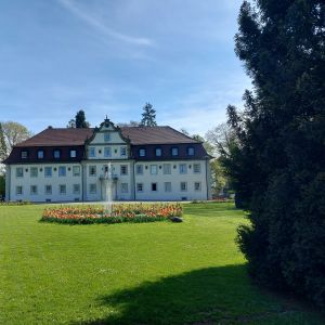 Einleitungsbild von Zweiflingen