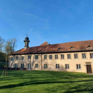 Einleitungsbild von Kupferzell