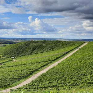 Einleitungsbild von Pfedelbach