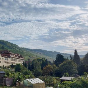 Einleitungsbild von Ingelfingen