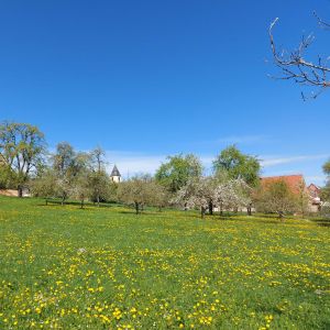 Einleitungsbild von Blaufelden