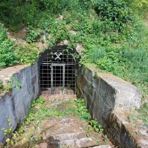 Einleitungsbild von Rosengarten