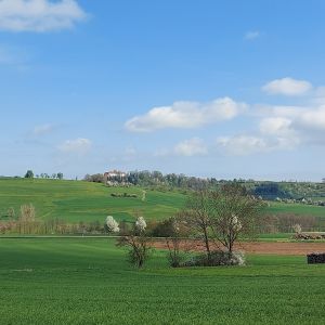 Einleitungsbild von Bühlertann