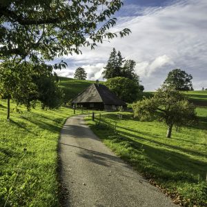 Einleitungsbild von Barrierefrei