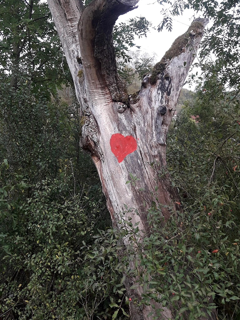 Foto KarinOechslen
