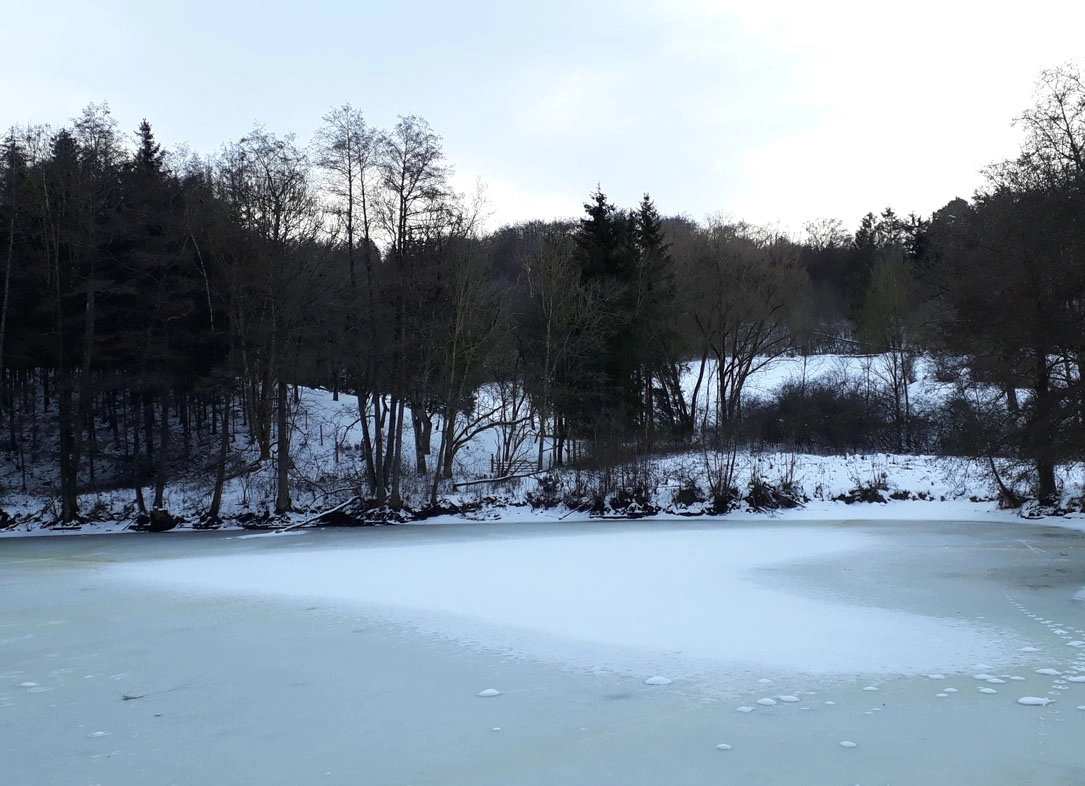 Foto IngaWestgarthausen
