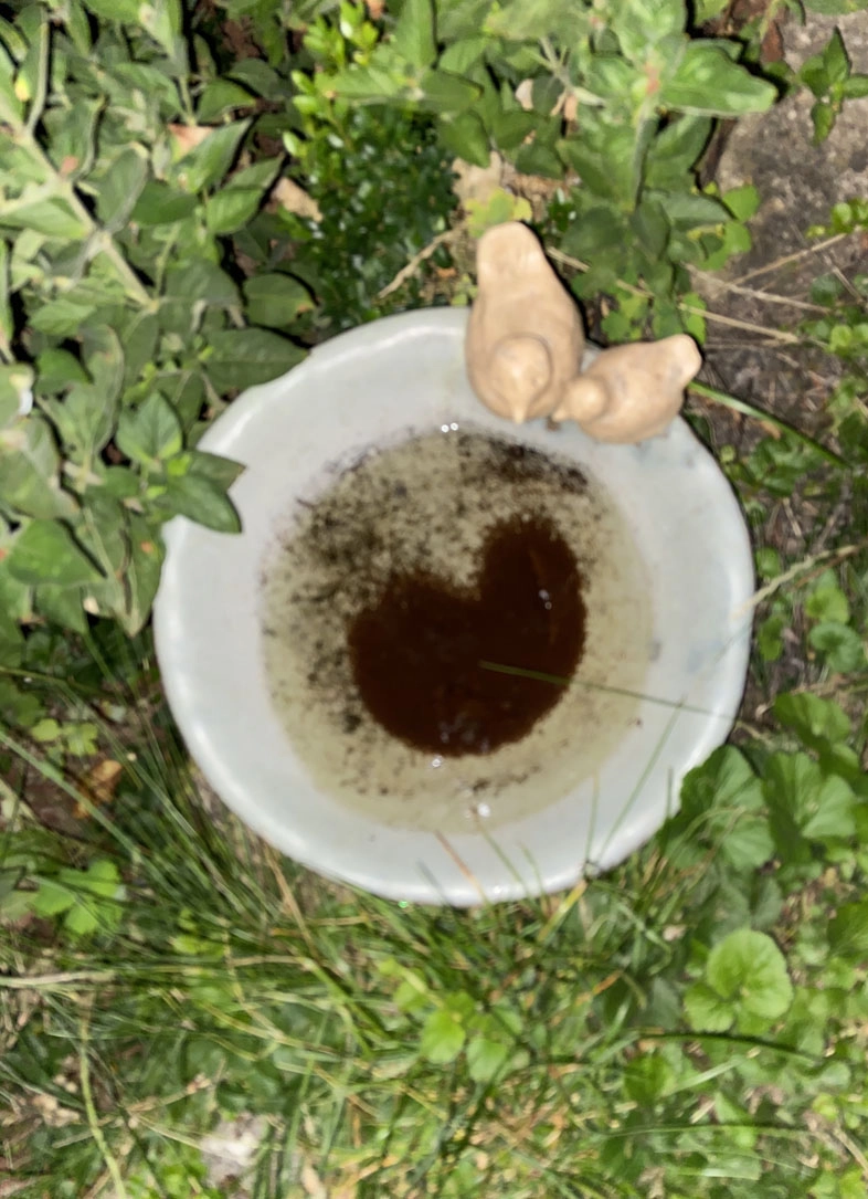 Foto VeronikaMaas