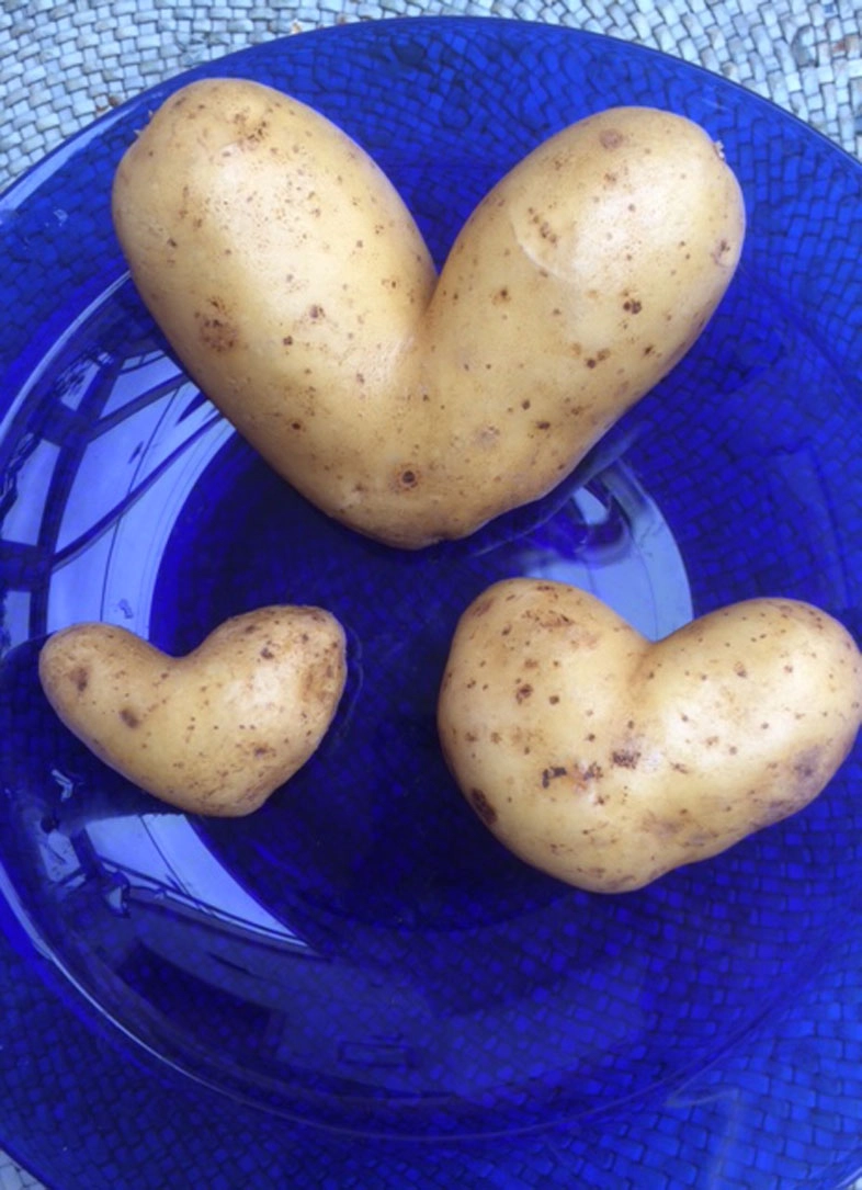 Kartoffeln LiesbethHenning