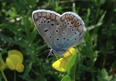 lb13 natur hohenlohe