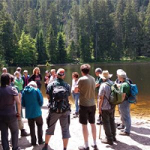 Einleitungsbild von Nationalpark Schwarzwald