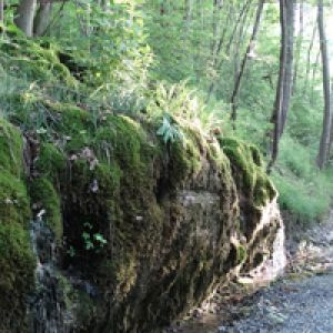 Einleitungsbild von Jagsttalwiesenwanderung