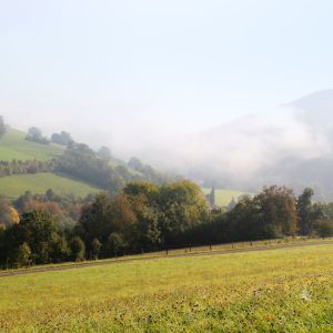 Einleitungsbild von Blaufelden