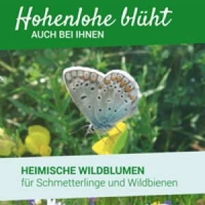 Einleitungsbild von Samentüten- Aktion
