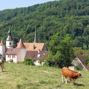 Einleitungsbild von Braunsbach