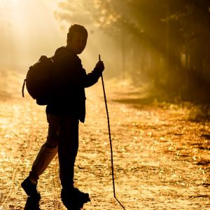 Einleitungsbild von Nordic walking - auf Schritt und Tritt